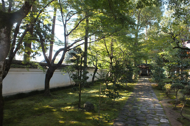 庭園